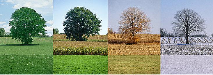 不是手游网游！《影之刃零》重申是买断制单机游戏