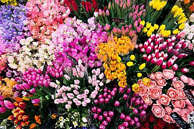 《光环：士官长合集》第八赛季推出“平行宇宙”皮肤